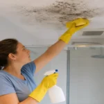 How to Remove Mould from Bathrooms Before It Spreads